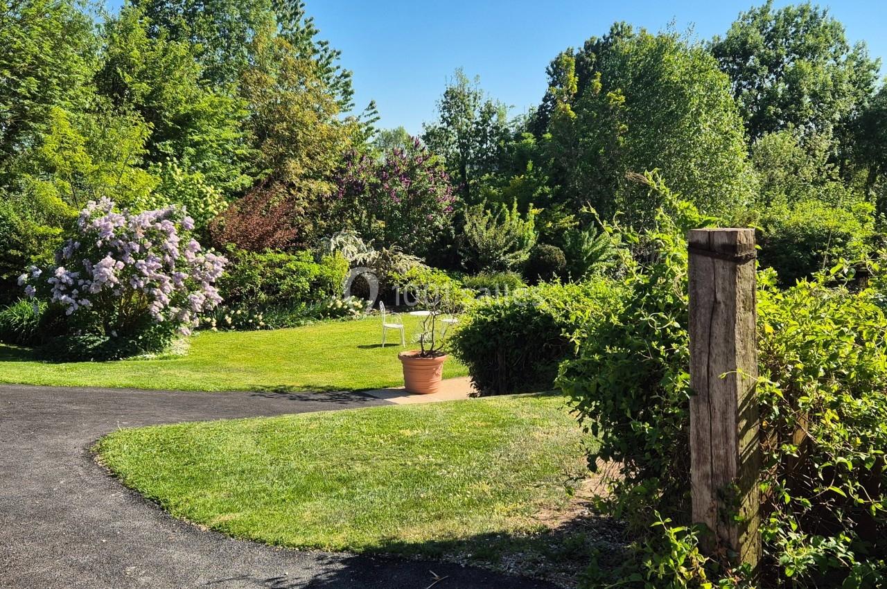 Jardin verdoyant avec pelouse, arbustes fleuris, allée goudronnée et pot de fleurs sur une terrasse ensoleillée.
