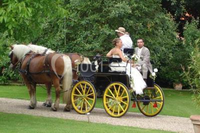 Miniature Location salle Neufchâtel-en-Bray (Seine-Maritime) - Le Cellier du Val Boury #23 Jardin fleuri avec des plantes variées devant une maison en briques et toit en tuiles, entourée d'arbres.