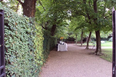 Un couple en tenue de cérémonie est transporté dans une calèche tirée par des chevaux sur un chemin bordé d'arbres.