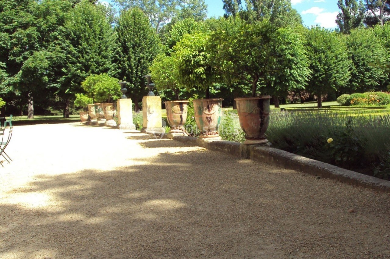Allée bordée de grands pots en terre cuite contenant des arbustes, entourée de jardins verdoyants sous un ciel dégagé.