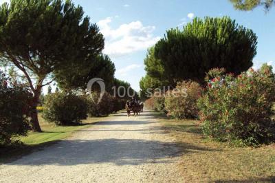 Un couple en tenue de cérémonie est transporté dans une calèche tirée par des chevaux sur un chemin bordé d'arbres.