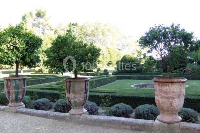 Un couple en tenue de cérémonie est transporté dans une calèche tirée par des chevaux sur un chemin bordé d'arbres.