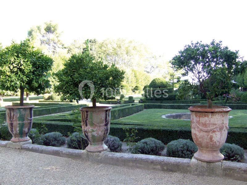 Quatre grands pots en terre cuite contenant des arbustes taillés, alignés devant un jardin à la française.