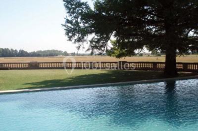 Un couple en tenue de cérémonie est transporté dans une calèche tirée par des chevaux sur un chemin bordé d'arbres.