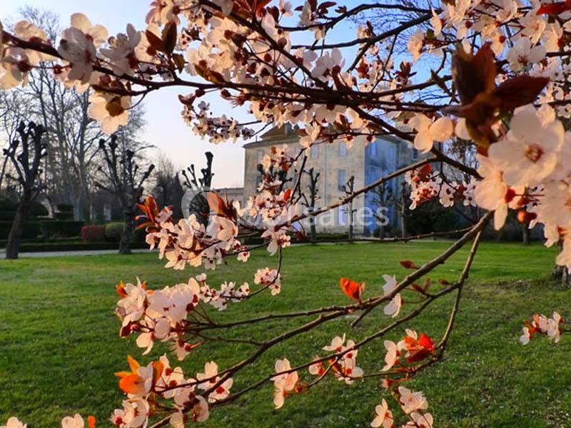 Branche d'arbre en fleurs au premier plan, avec une pelouse et un bâtiment flou en arrière-plan.
