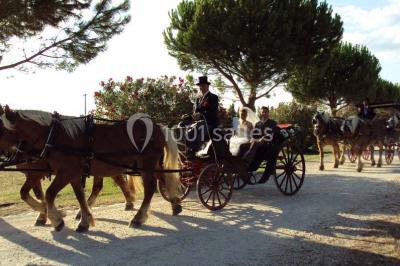 Un couple en tenue de cérémonie est transporté dans une calèche tirée par des chevaux sur un chemin bordé d'arbres.