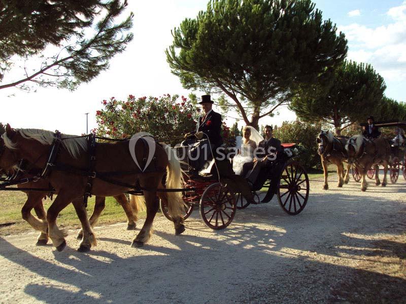 Un couple en tenue de cérémonie est transporté dans une calèche tirée par des chevaux sur un chemin bordé d'arbres.