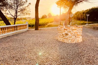 Location salle Béziers (Hérault) - Domaine des Hautes Vignes #69