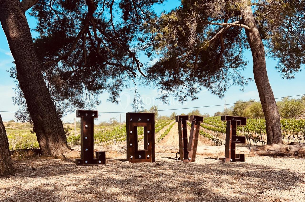 Location salle Béziers (Hérault) - Domaine des Hautes Vignes #60