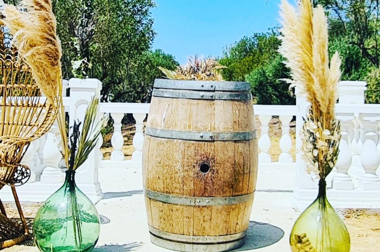 Location salle Béziers (Hérault) - Domaine des Hautes Vignes #66