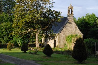 Miniature Location salle Milizac (Finistère) - Domaine de Keranflec'h #13 Structure en bois avec un toit tendu, installée dans un espace extérieur verdoyant et ensoleillé.