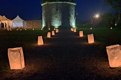 Miniature Location salle Milizac (Finistère) - Domaine de Keranflec'h #60 Structure en bois avec un toit tendu, installée dans un espace extérieur verdoyant et ensoleillé.