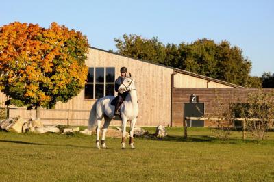 Salle de réception lumineuse avec tables rondes décorées de nappes blanches, fleurs et vaisselle élégante.