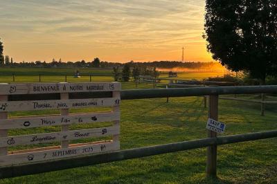 Salle de réception lumineuse avec tables rondes décorées de nappes blanches, fleurs et vaisselle élégante.