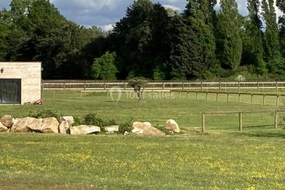 Lit double avec draps gris et oreillers roses, encadré par deux appliques murales sur un mur en bois clair.
