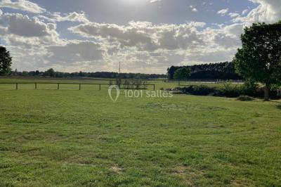 Lit double avec draps gris et oreillers roses, encadré par deux appliques murales sur un mur en bois clair.