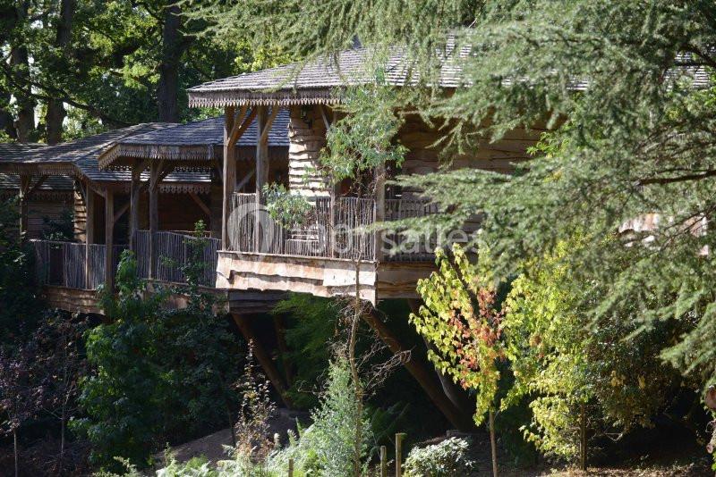 Cabane en bois perchée dans les arbres, entourée de végétation dense et baignée de lumière naturelle.