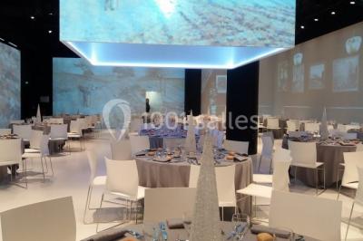 Location salle Auvers-sur-Oise (Val-d'Oise) - Château d'Auvers #8