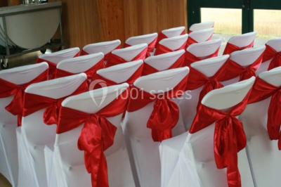 Cuisine professionnelle avec plan de travail en inox, plaques de cuisson, évier et hotte d'extraction.