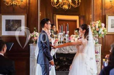 Feu d'artifice illuminant le ciel nocturne au-dessus d'un parc avec des spectateurs rassemblés sur une pelouse.