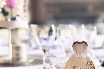 Feu d'artifice illuminant le ciel nocturne au-dessus d'un parc avec des spectateurs rassemblés sur une pelouse.