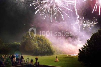 Feu d'artifice illuminant le ciel nocturne au-dessus d'un parc avec des spectateurs rassemblés sur une pelouse.