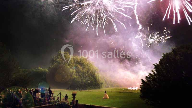 Feu d'artifice illuminant le ciel nocturne au-dessus d'un parc avec des spectateurs rassemblés sur une pelouse.