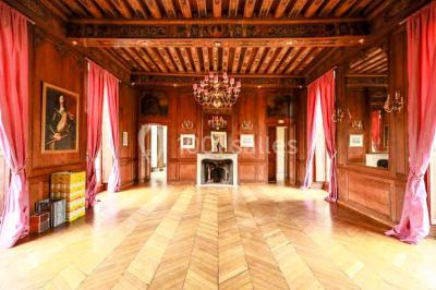 Feu d'artifice illuminant le ciel nocturne au-dessus d'un parc avec des spectateurs rassemblés sur une pelouse.