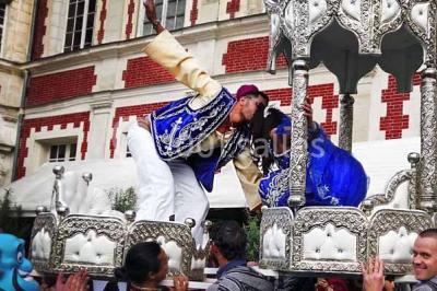 Feu d'artifice illuminant le ciel nocturne au-dessus d'un parc avec des spectateurs rassemblés sur une pelouse.