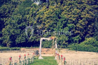 Feu d'artifice illuminant le ciel nocturne au-dessus d'un parc avec des spectateurs rassemblés sur une pelouse.