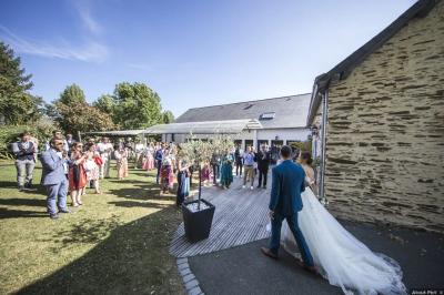 Cabane en bois avec fenêtres et porte vitrées, entourée de fleurs et d'arbustes, située près d'un chemin en gravier.