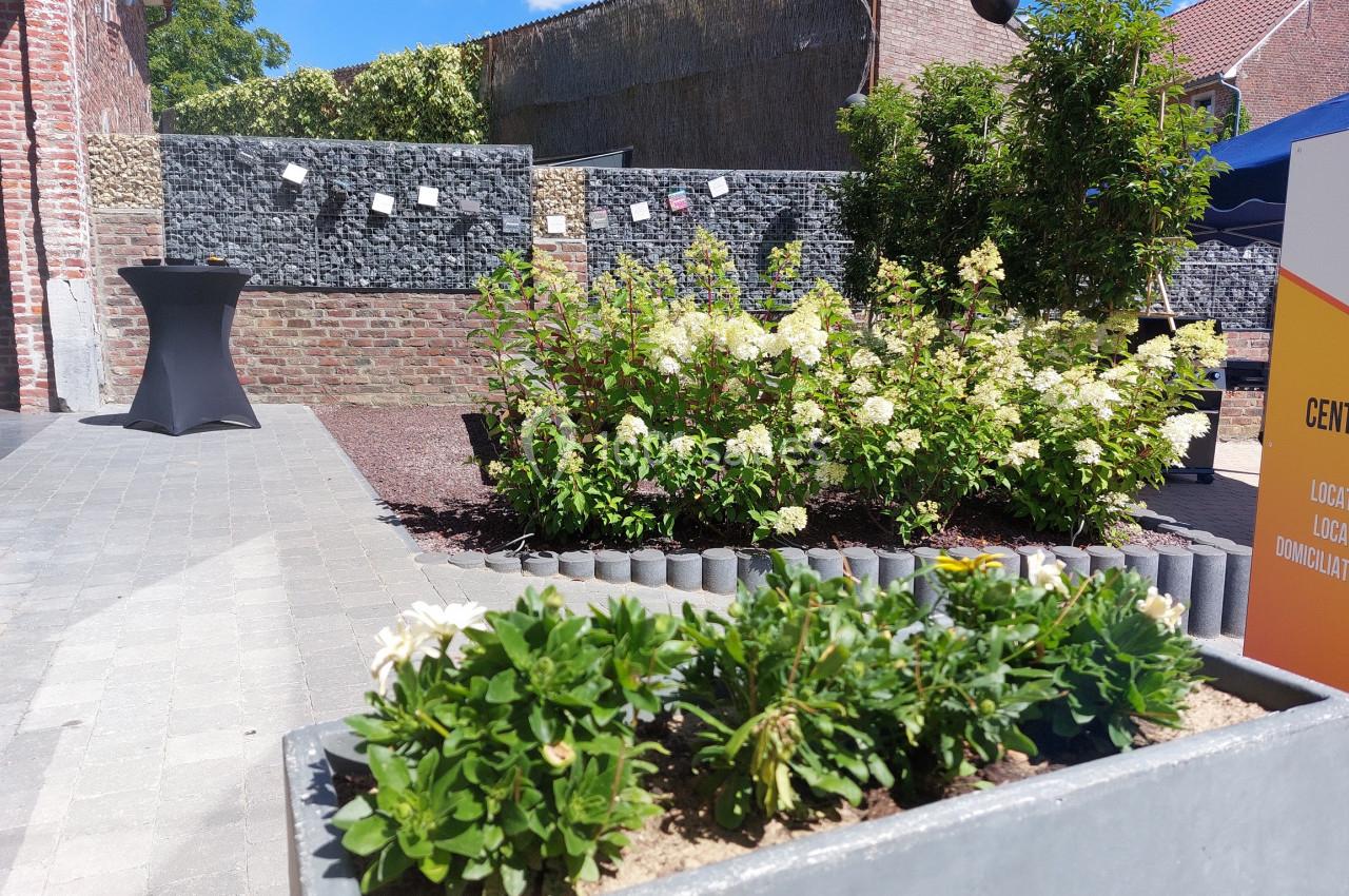 Aménagement extérieur avec des plantes en pots, des arbustes fleuris et un mur de pierres dans une cour pavée.