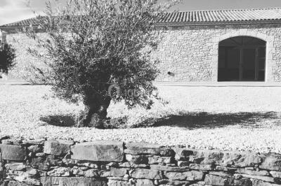 Location salle Caux (Hérault) - Domaine de la Resclauze #8