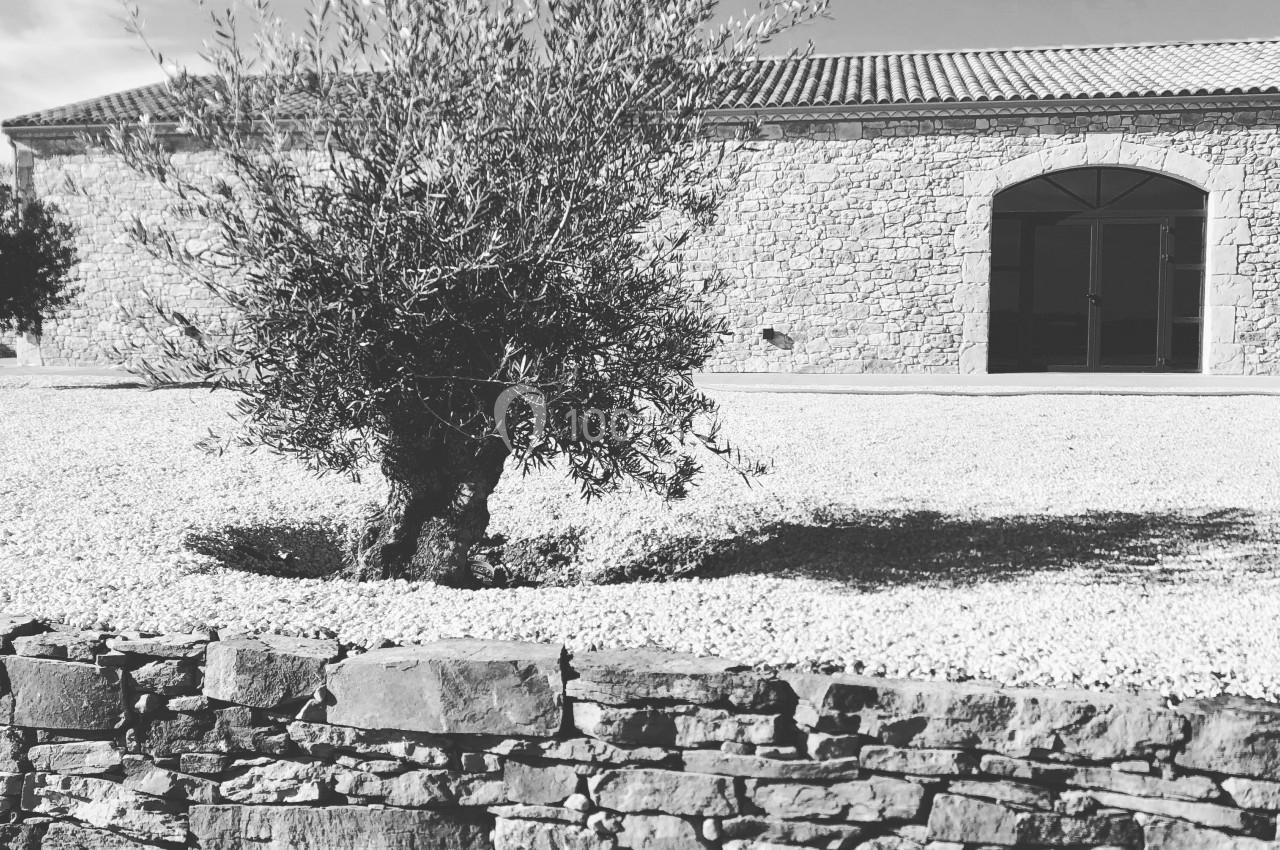 Domaine de la Resclauze - galerie - photo 3