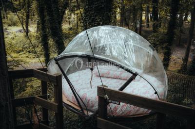 Location salle Noisy-sur-École (Seine-et-Marne) - Rock&Bleau #39