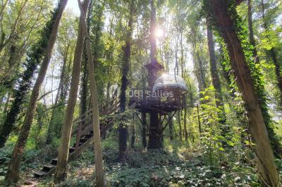 Location salle Noisy-sur-École (Seine-et-Marne) - Rock&Bleau #39