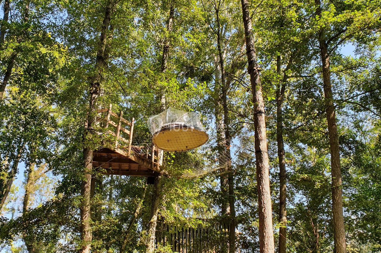 Location salle Noisy-sur-École (Seine-et-Marne) - Rock&Bleau #21