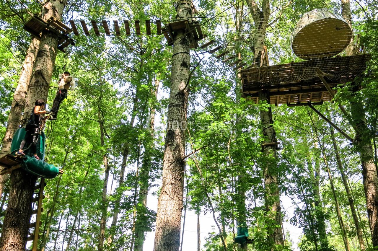 Location salle Noisy-sur-École (Seine-et-Marne) - Rock&Bleau #23