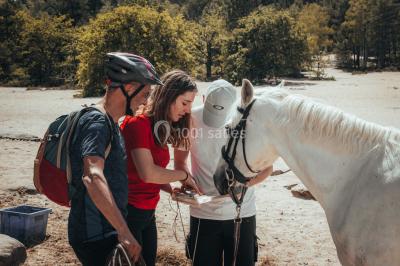 Location salle Noisy-sur-École (Seine-et-Marne) - Rock&Bleau #39