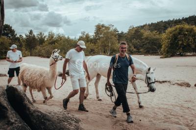 Location salle Noisy-sur-École (Seine-et-Marne) - Rock&Bleau #39