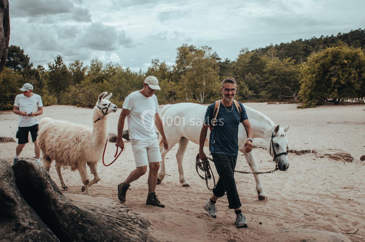 Location salle Noisy-sur-École (Seine-et-Marne) - Rock&Bleau #32