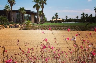 Groupe de personnes rassemblées sur une terrasse et une pelouse, entourées de végétation sous un ciel dégagé.