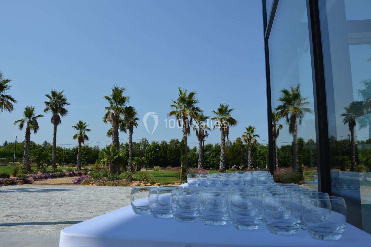 Verres transparents disposés sur une table blanche en extérieur, avec des palmiers et un ciel dégagé en arrière-plan.