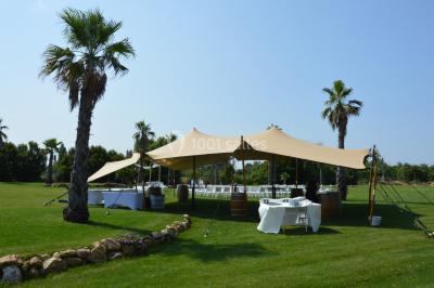 Groupe de personnes rassemblées sur une terrasse et une pelouse, entourées de végétation sous un ciel dégagé.