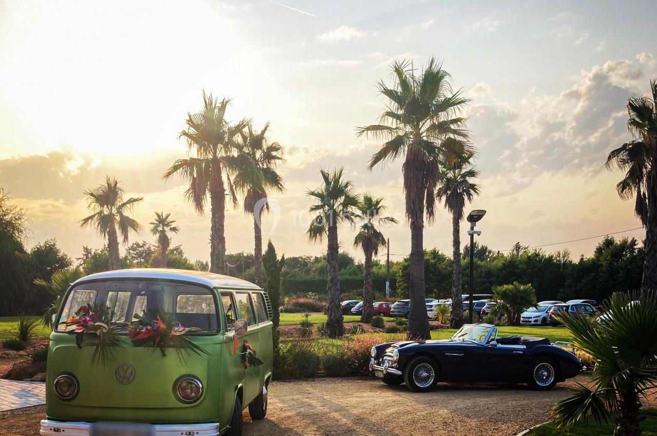Un van vert et une voiture classique noire stationnés sur une allée bordée de palmiers au coucher du soleil.