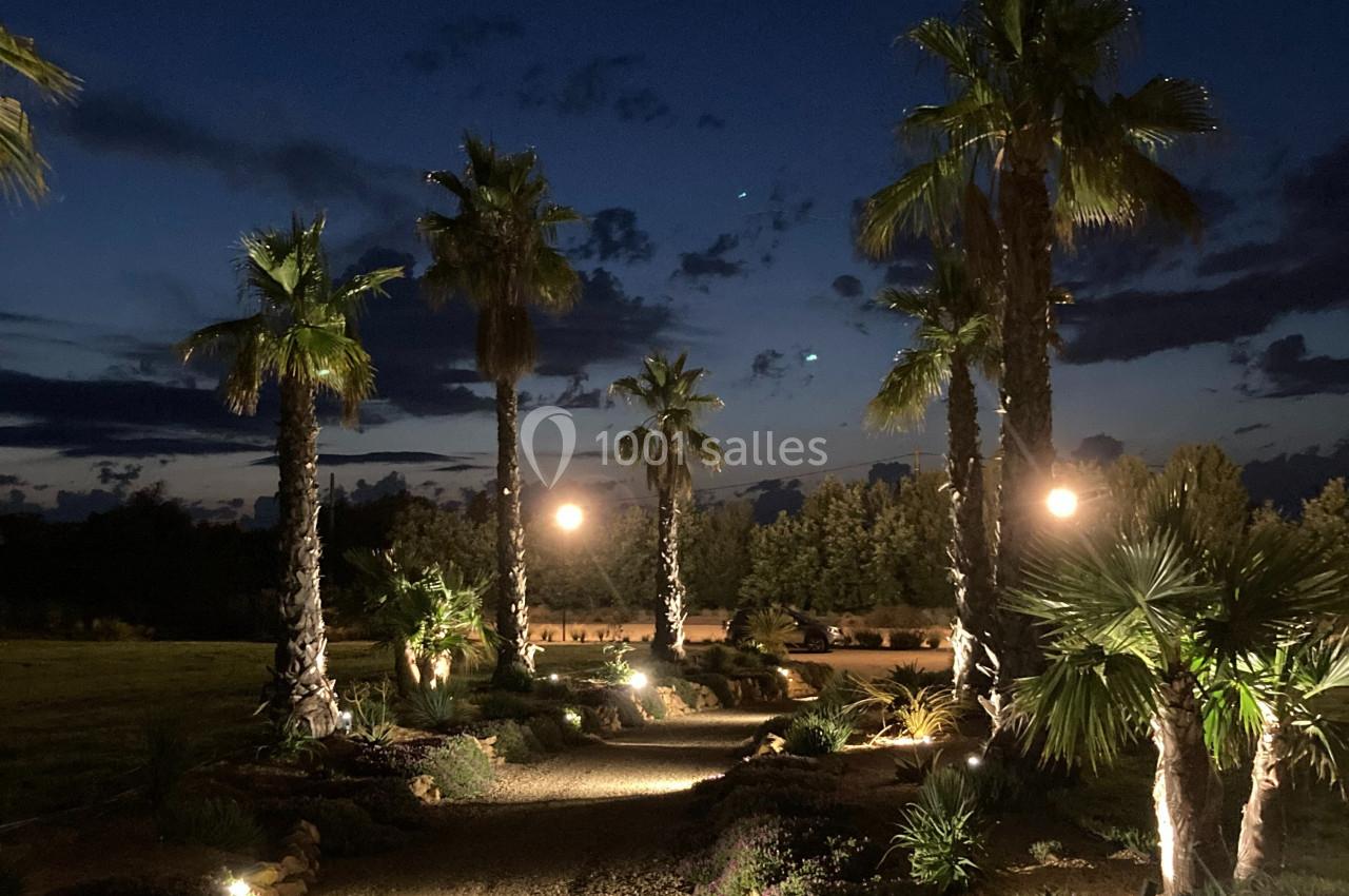 Allée bordée de palmiers éclairée par des lampadaires, sous un ciel nocturne parsemé de nuages.