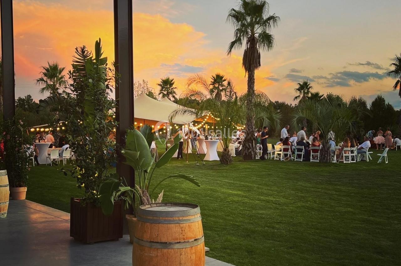 Terrasse avec plantes en pot, pelouse, palmiers et invités réunis sous un ciel de coucher de soleil.