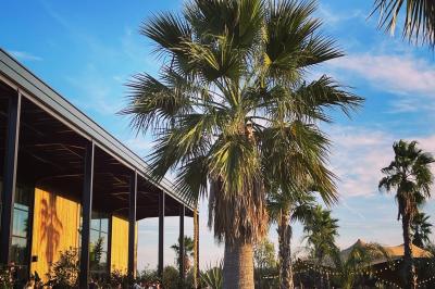 Groupe de personnes rassemblées sur une terrasse et une pelouse, entourées de végétation sous un ciel dégagé.