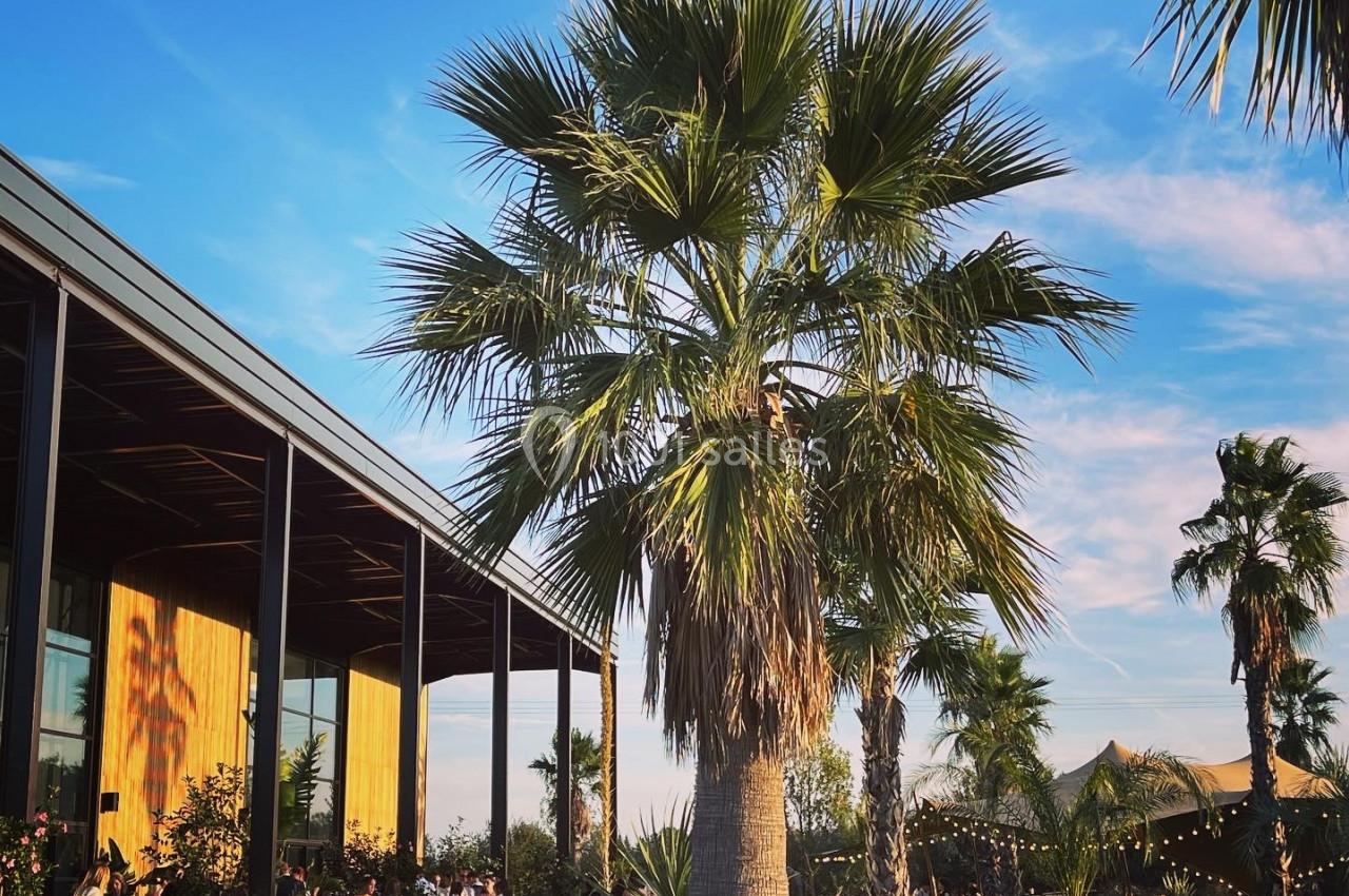 Un palmier dans un jardin verdoyant près d'un bâtiment moderne, avec des invités rassemblés en arrière-plan.