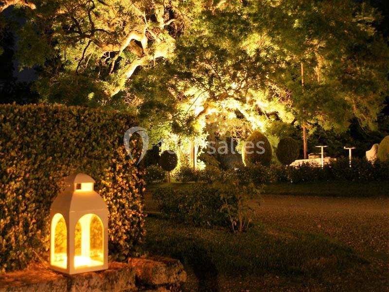 Lanterne éclairée posée sur un muret devant un jardin illuminé la nuit avec des arbres et des buissons.